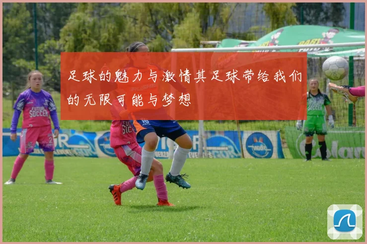 足球的魅力与激情其足球带给我们的无限可能与梦想