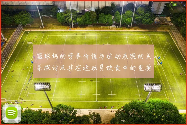 篮球钙的营养价值与运动表现的关系探讨及其在运动员饮食中的重要性